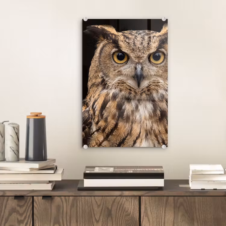 Glas schilderij - Oehoe - Uil - Portret - Bruin — 2