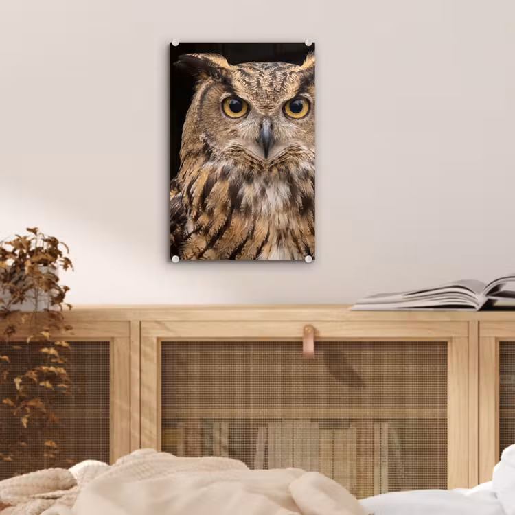 Glas schilderij - Oehoe - Uil - Portret - Bruin — 5