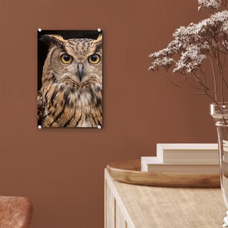Glas schilderij - Oehoe - Uil - Portret - Bruin — 6