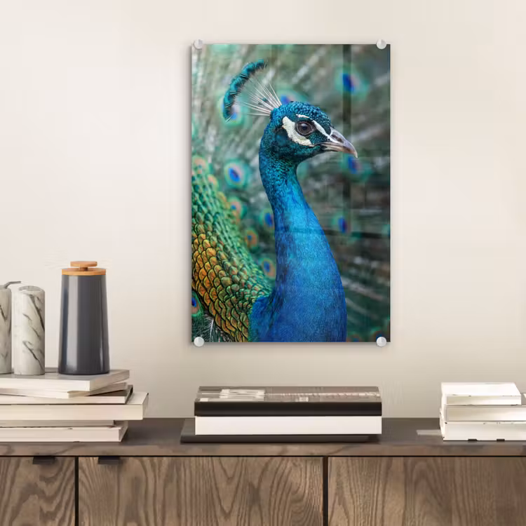 Glas schilderij - Pauw - Veren - Blauw — 2