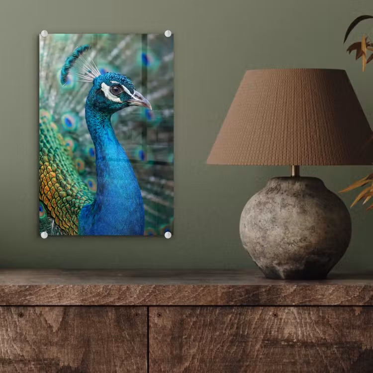 Glas schilderij - Pauw - Veren - Blauw — 4