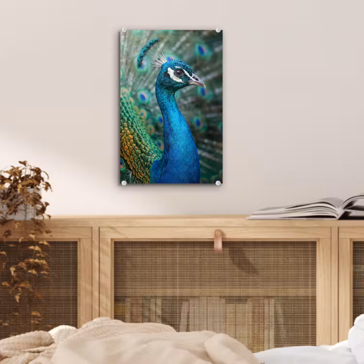 Glas schilderij - Pauw - Veren - Blauw — 5