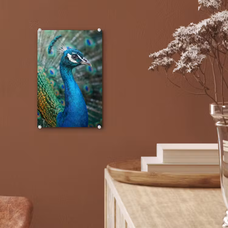 Glas schilderij - Pauw - Veren - Blauw — 6