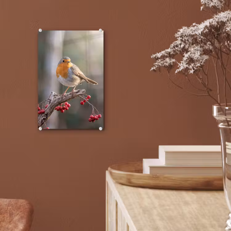 Glas schilderij - Roodborst - Tak - Bessen - Natuur — 6