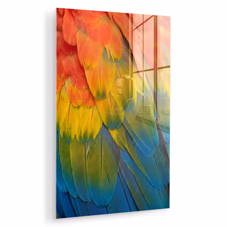 Glas schilderij - Veren - Ara - Kleurrijk — 1