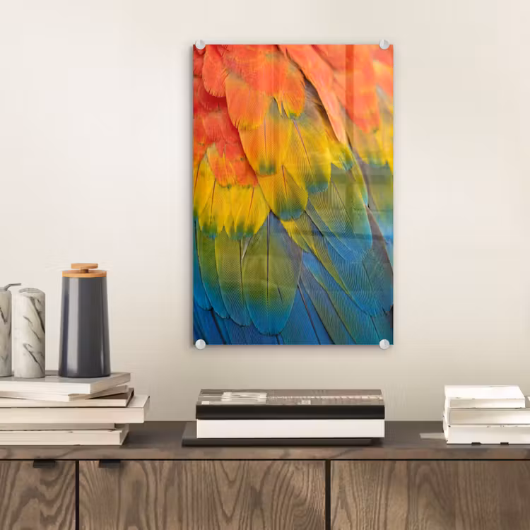 Glas schilderij - Veren - Ara - Kleurrijk — 2