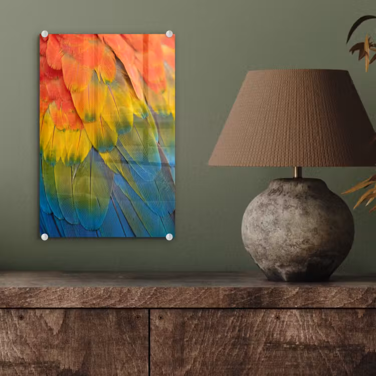 Glas schilderij - Veren - Ara - Kleurrijk — 4