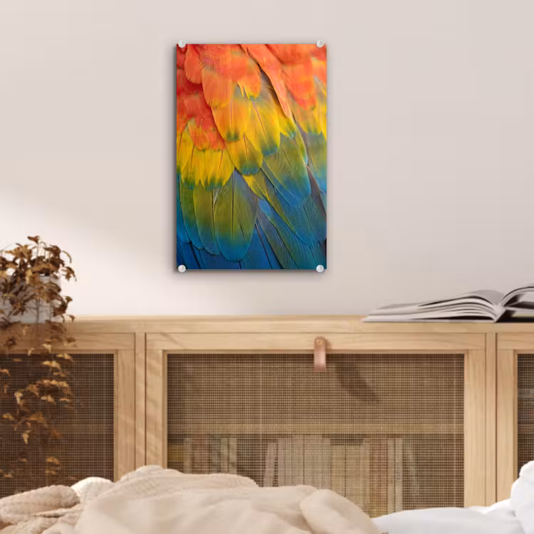 Glas schilderij - Veren - Ara - Kleurrijk — 5