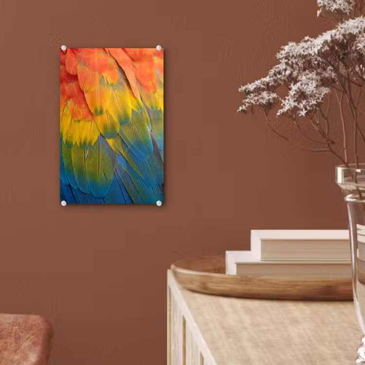 Glas schilderij - Veren - Ara - Kleurrijk — 6