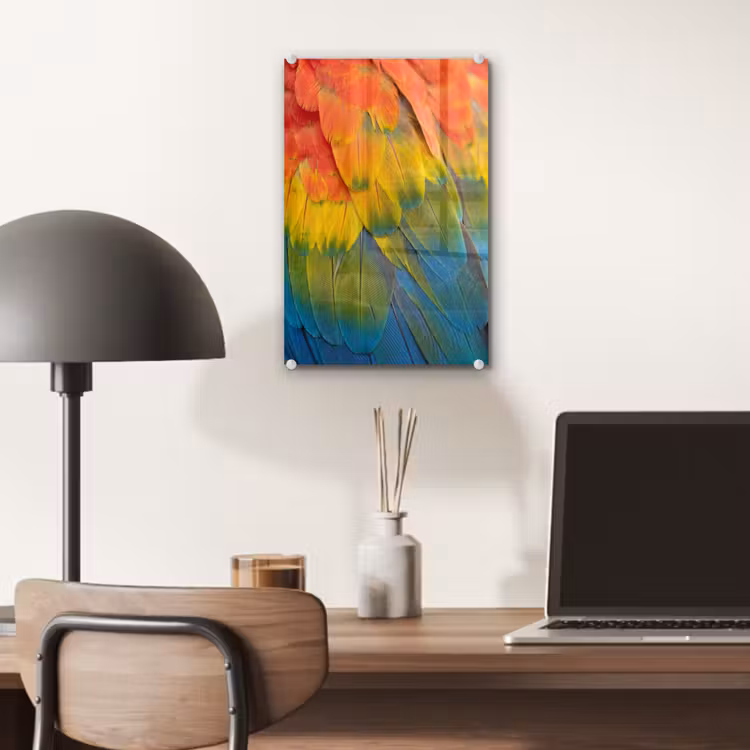 Glas schilderij - Veren - Ara - Kleurrijk — 7