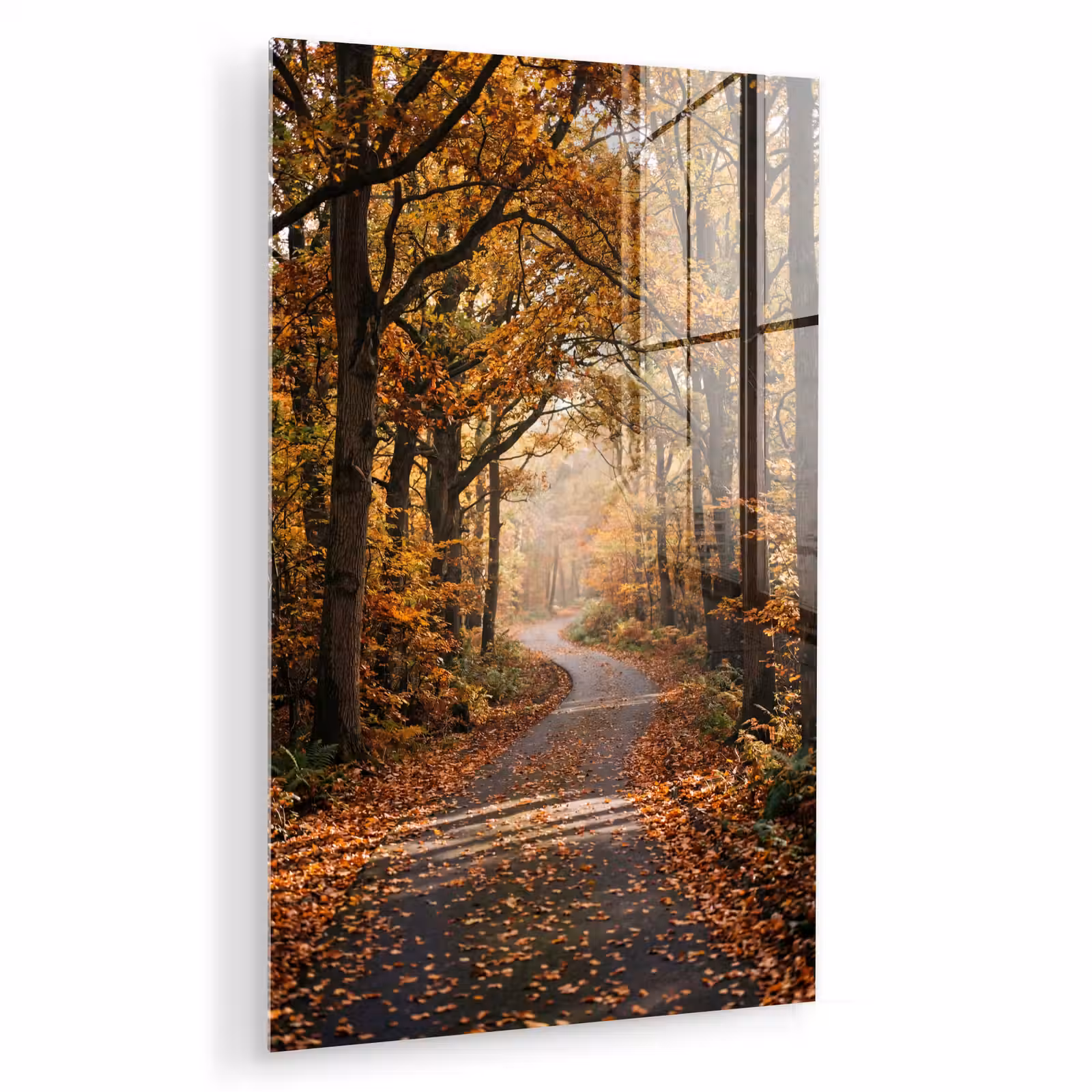 Glas schilderij - Bospad - Herfstbos - Bladeren - Oranje - Nostalgisch — 1