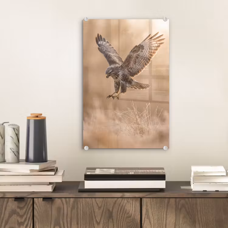 Glas schilderij - Buizerd - Roofvogel - Natuur - Bruin — 2