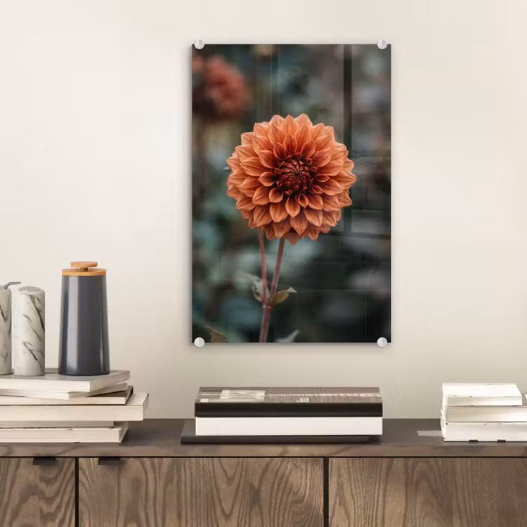 Glas schilderij - Dahlia - Bloem - Natuur - Sfeervol — 2