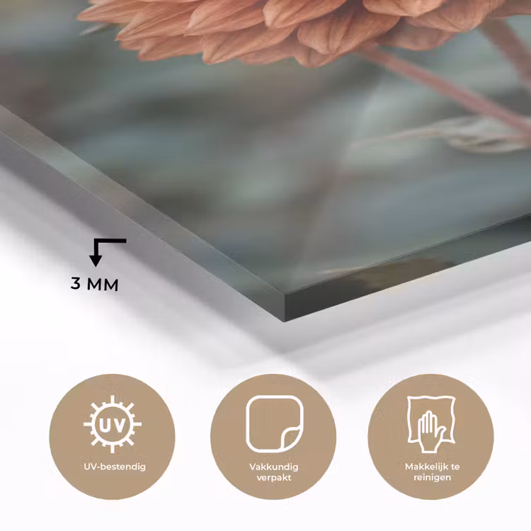 Glas schilderij - Dahlia - Bloem - Natuur - Sfeervol — 3
