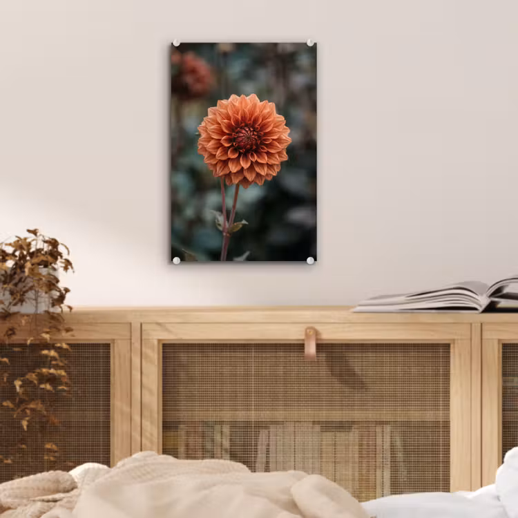 Glas schilderij - Dahlia - Bloem - Natuur - Sfeervol — 5