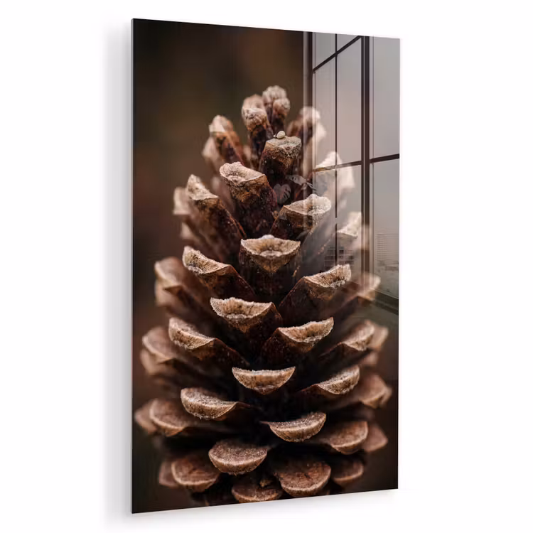 Glas schilderij - Dennenappel - Bos - Herfst - Bruin - Sfeervol — 1