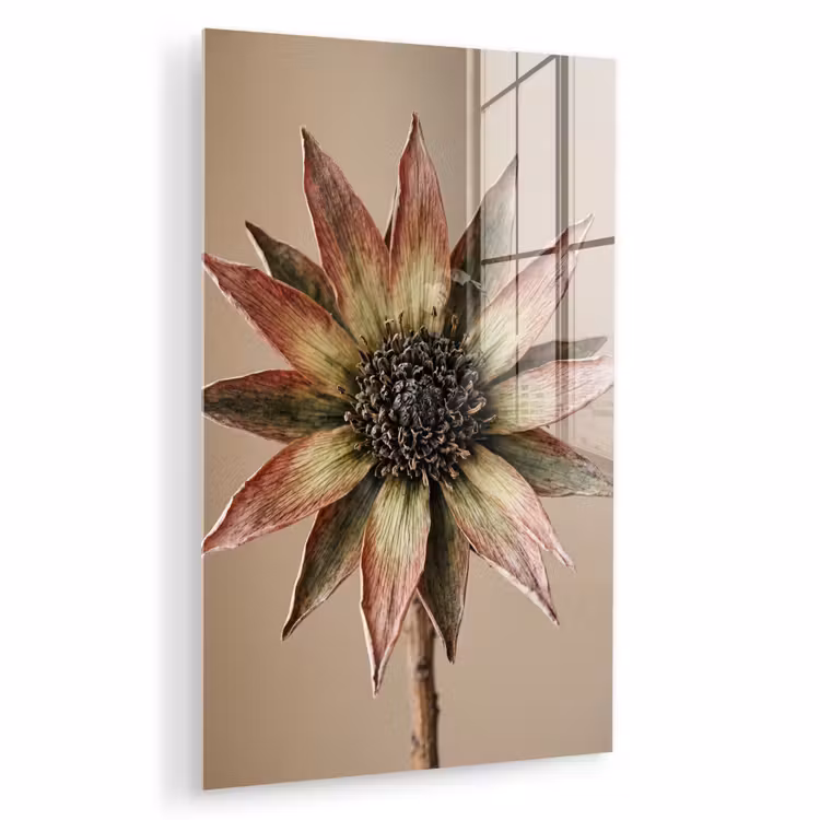 Glas schilderij - Droogbloem - Protea - Vintage - Beige - Rustiek — 1