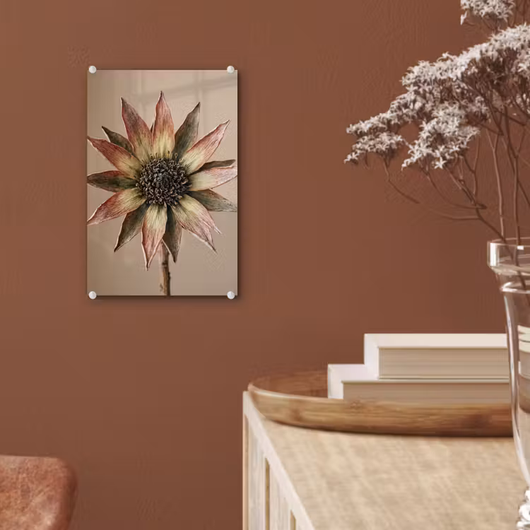 Glas schilderij - Droogbloem - Protea - Vintage - Beige - Rustiek — 6