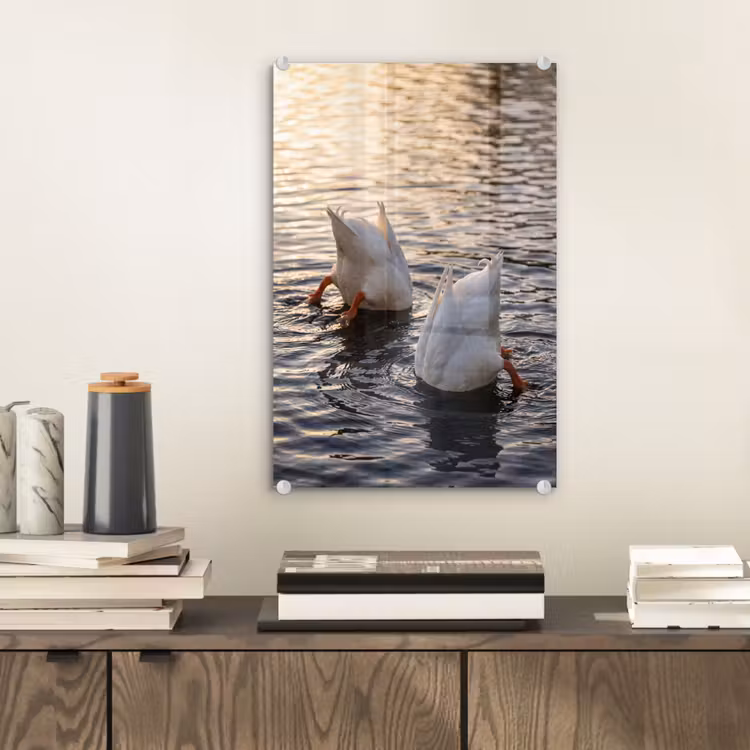 Glas schilderij - Eenden - Water - Natuur — 2