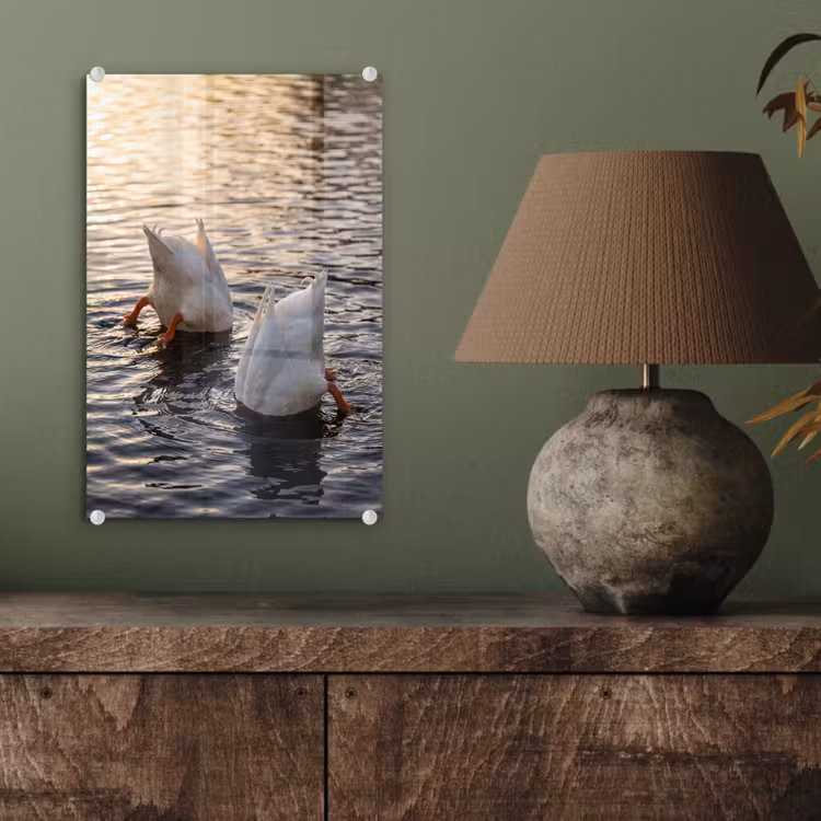 Glas schilderij - Eenden - Water - Natuur — 4