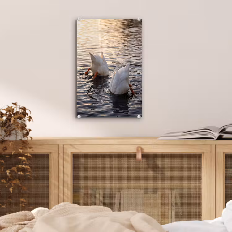 Glas schilderij - Eenden - Water - Natuur — 5