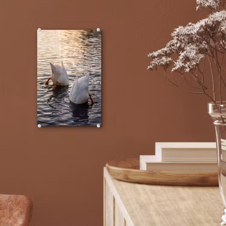 Glas schilderij - Eenden - Water - Natuur — 6