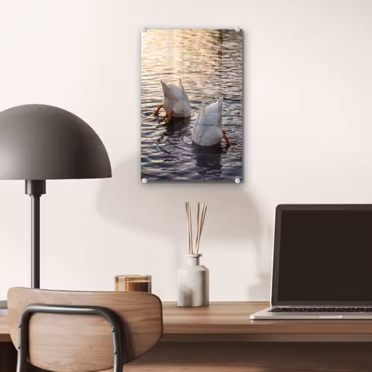Glas schilderij - Eenden - Water - Natuur — 7
