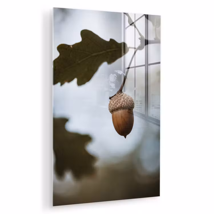 Glas schilderij - Eikel - Eikenblad - Bos - Herfst - Natuur — 1