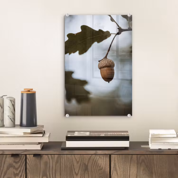 Glas schilderij - Eikel - Eikenblad - Bos - Herfst - Natuur — 2