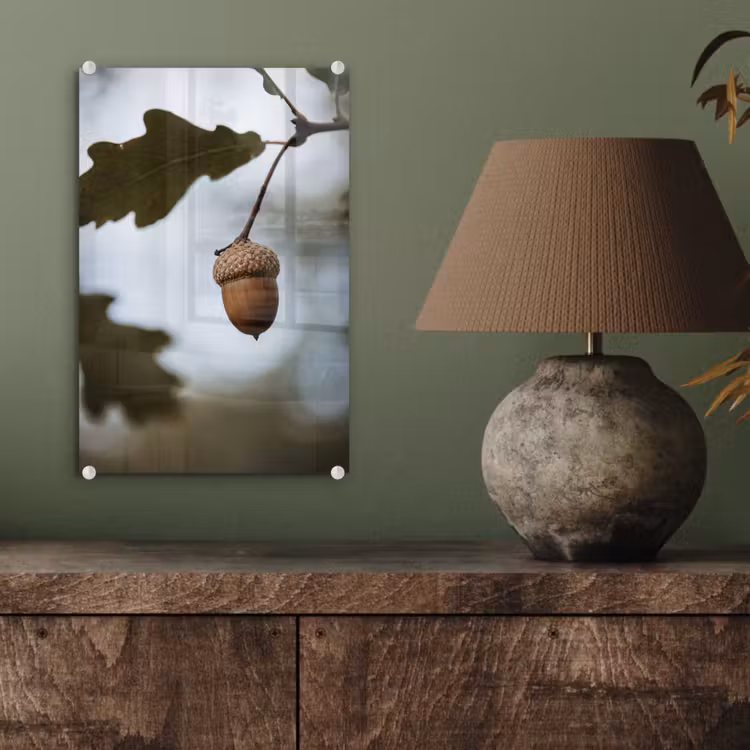 Glas schilderij - Eikel - Eikenblad - Bos - Herfst - Natuur — 4