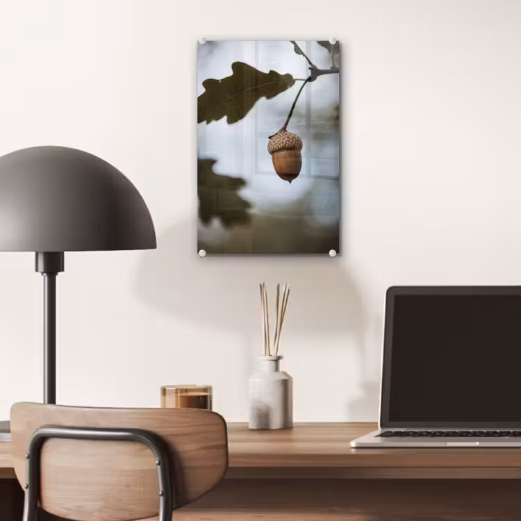 Glas schilderij - Eikel - Eikenblad - Bos - Herfst - Natuur — 7