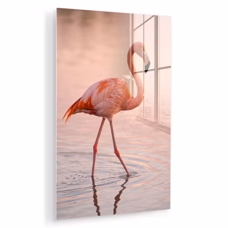 Glas schilderij - Flamingo - Water - Roze — 1