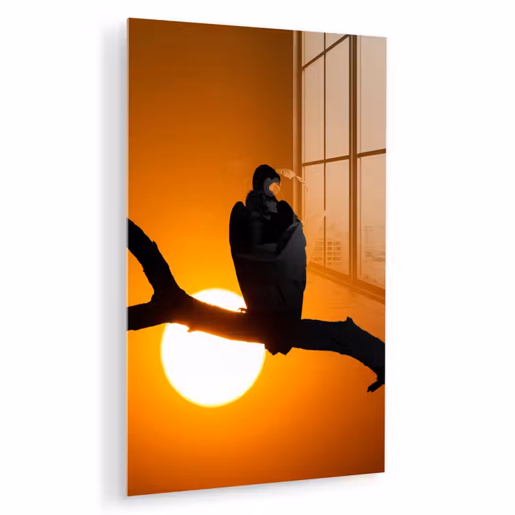 Glas schilderij - Gier - Tak - Zon - Oranje — 1