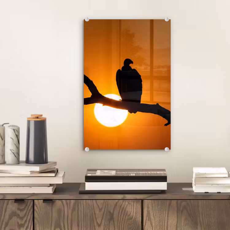 Glas schilderij - Gier - Tak - Zon - Oranje — 2