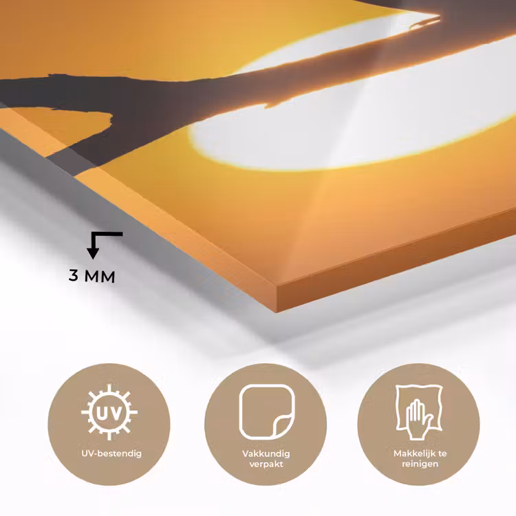 Glas schilderij - Gier - Tak - Zon - Oranje — 3