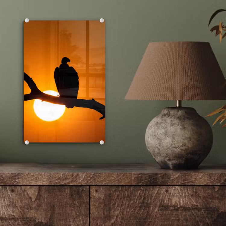 Glas schilderij - Gier - Tak - Zon - Oranje — 4