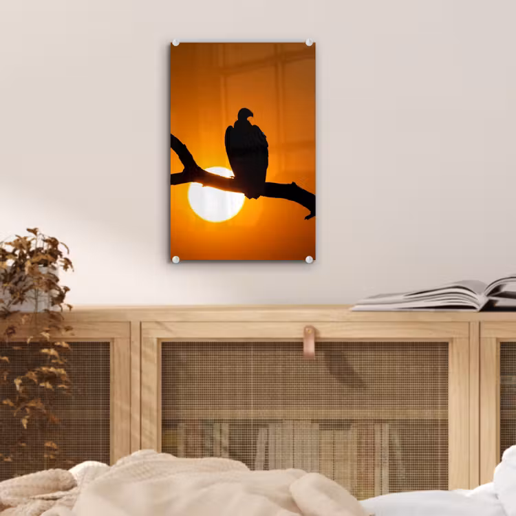 Glas schilderij - Gier - Tak - Zon - Oranje — 5