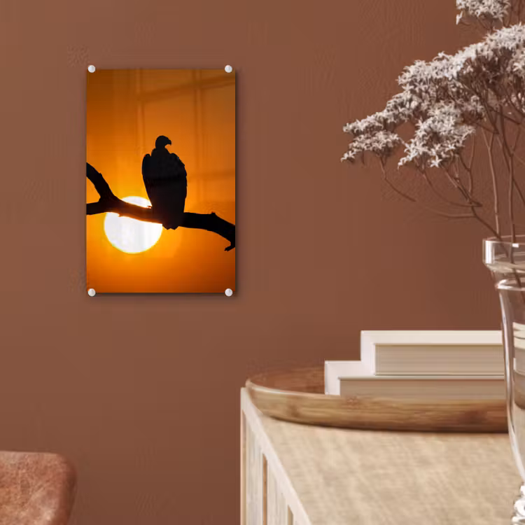 Glas schilderij - Gier - Tak - Zon - Oranje — 6