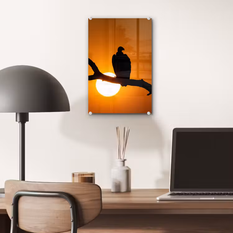 Glas schilderij - Gier - Tak - Zon - Oranje — 7