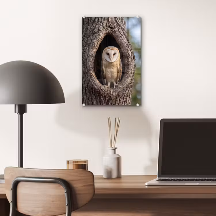 Glas schilderij - Kerkuil - Boom - Natuur - Bruin — 7