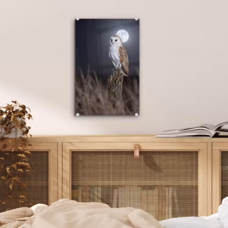 Glas schilderij - Kerkuil - Maan - Nacht — 5