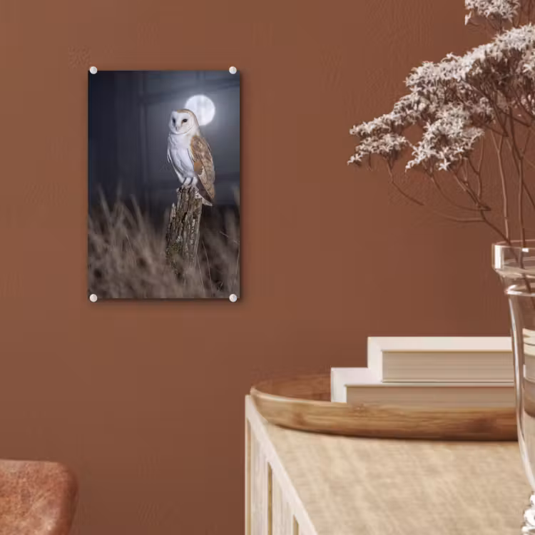 Glas schilderij - Kerkuil - Maan - Nacht — 6