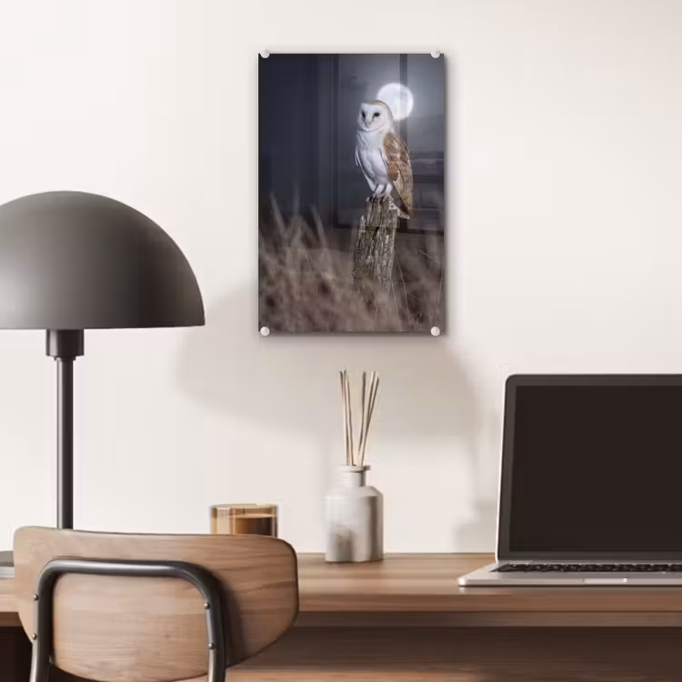 Glas schilderij - Kerkuil - Maan - Nacht — 7