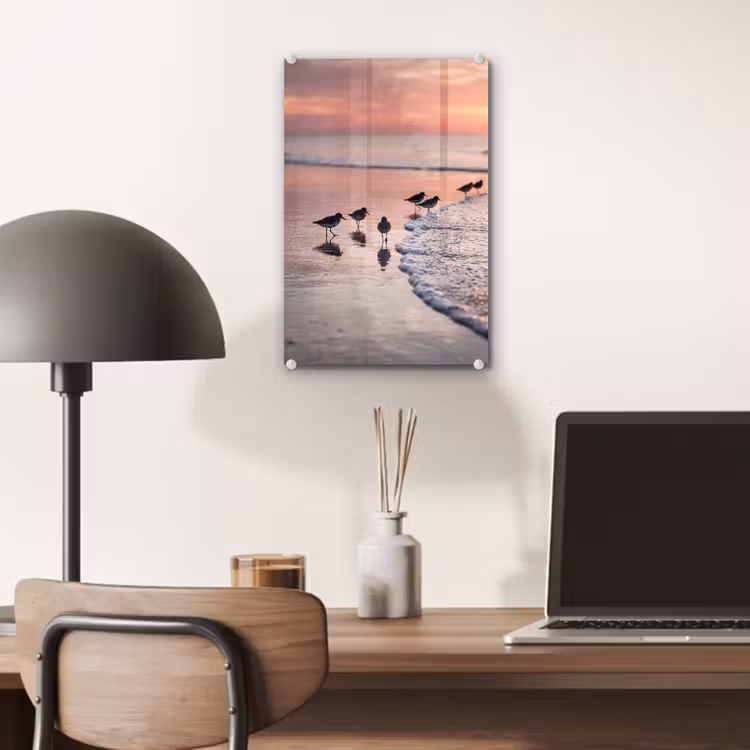 Glas schilderij - Meeuwen - Strand - Zee - Roze — 7