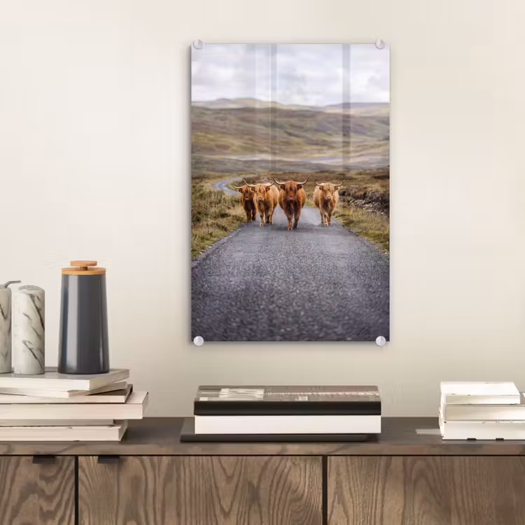 Glas schilderij - Schotse Hooglanders - Weg - Landschap - Kudde — 2