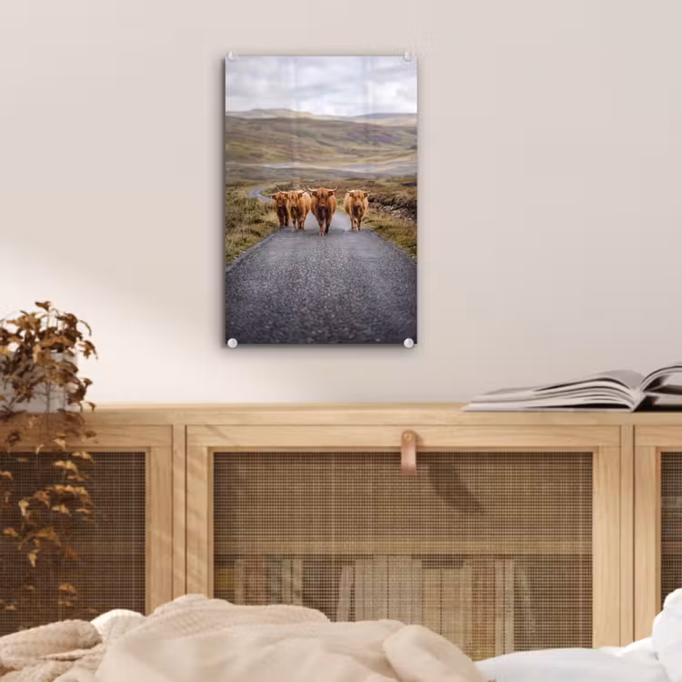 Glas schilderij - Schotse Hooglanders - Weg - Landschap - Kudde — 5