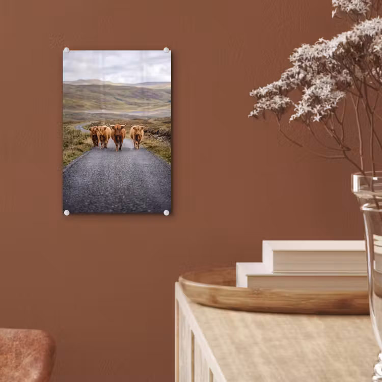 Glas schilderij - Schotse Hooglanders - Weg - Landschap - Kudde — 6