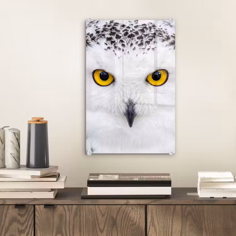 Glas schilderij - Sneeuwuil - Portret - Geel — 2