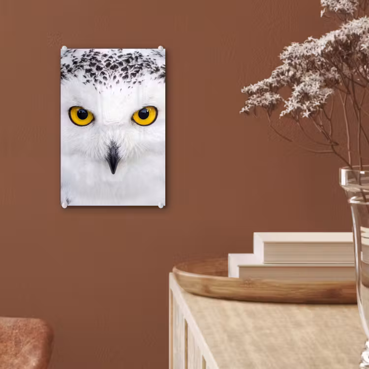 Glas schilderij - Sneeuwuil - Portret - Geel — 6