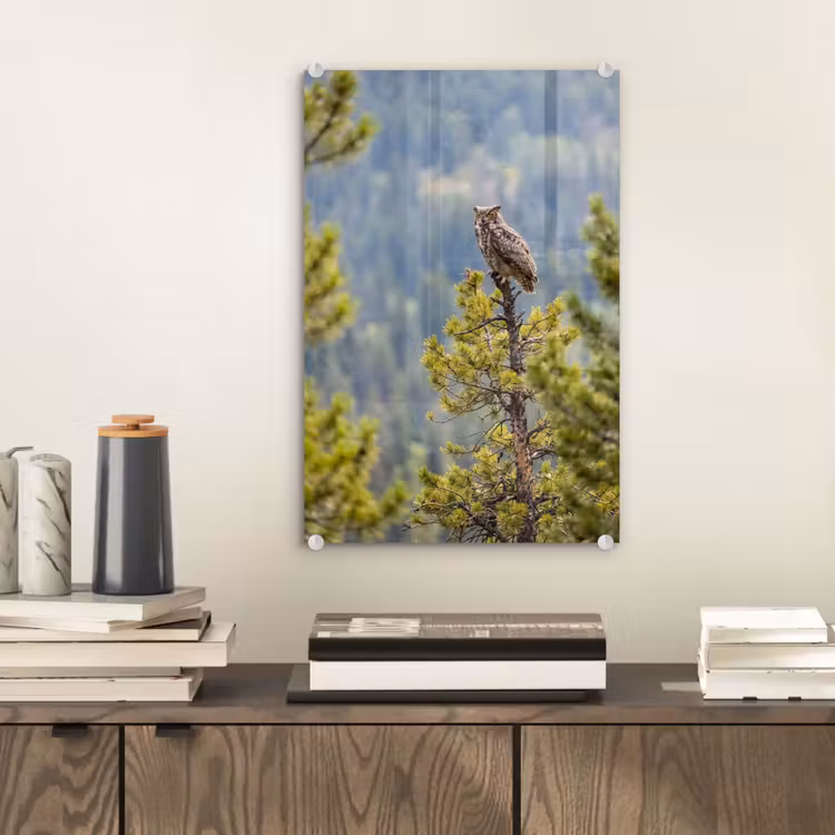Glas schilderij - Uil - Oehoe - Bomen - Natuur — 2